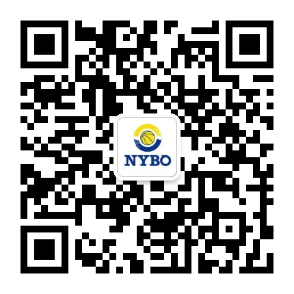 自動雙量程 分析天平PTY系列